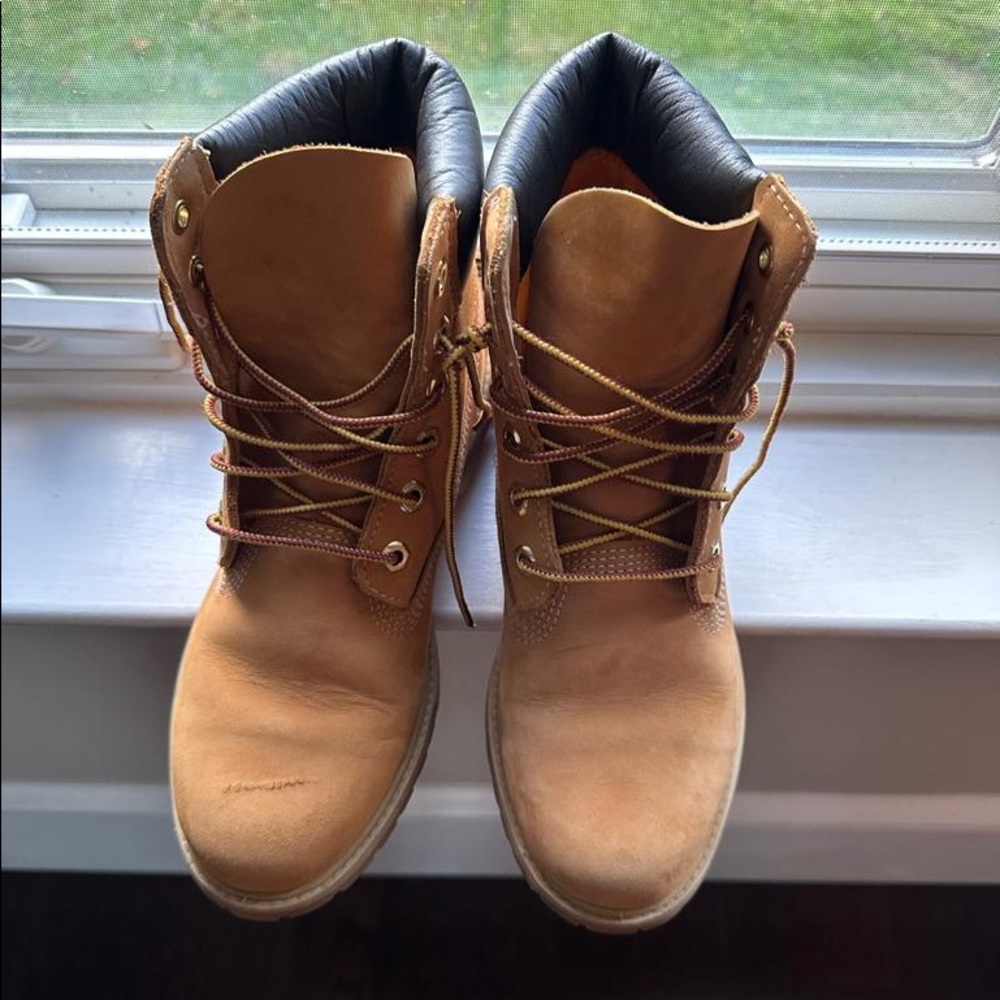 Women's Timberland® Premium 6-Inch Waterproof Boot